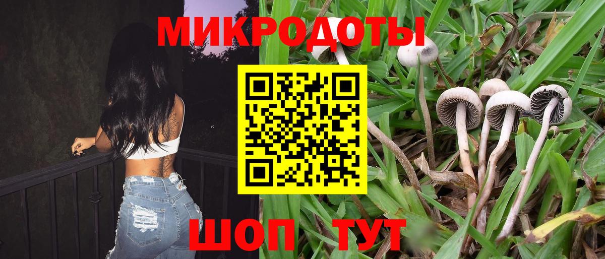 Псилоцибиновые грибы Magic Shrooms  Вход с VPN  Лянтор  Псилоцибиновые грибы GOLDEN TEACHER 