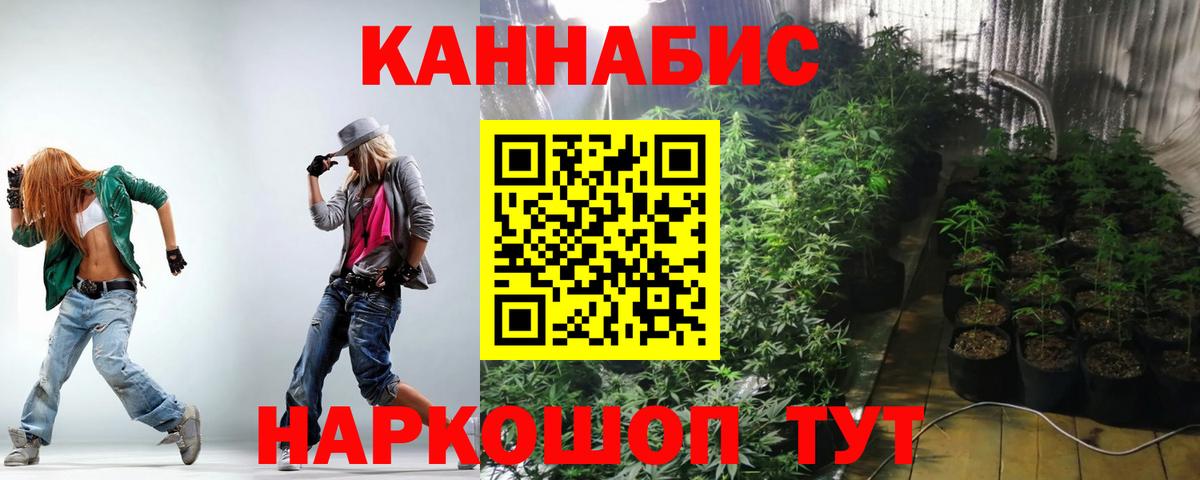 Марихуана сатива Лянтор